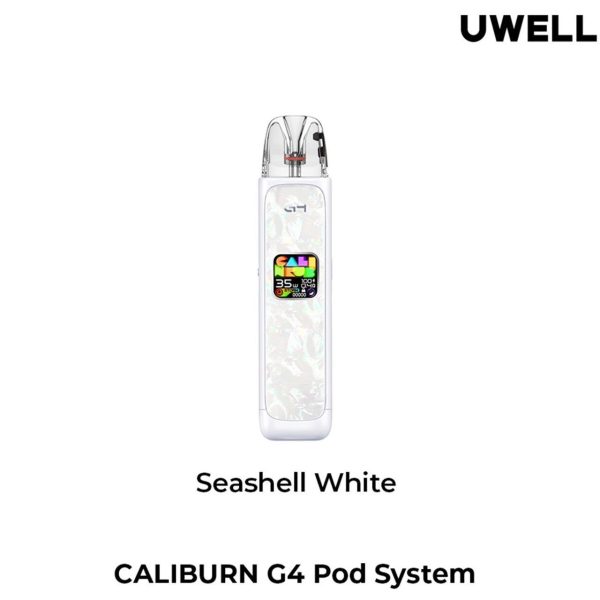 Seashell White Seashell White