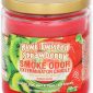 Kiwi Twisted Strawberry
