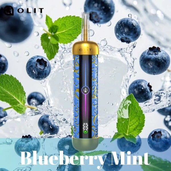 Blueberry Mint Blueberry Mint