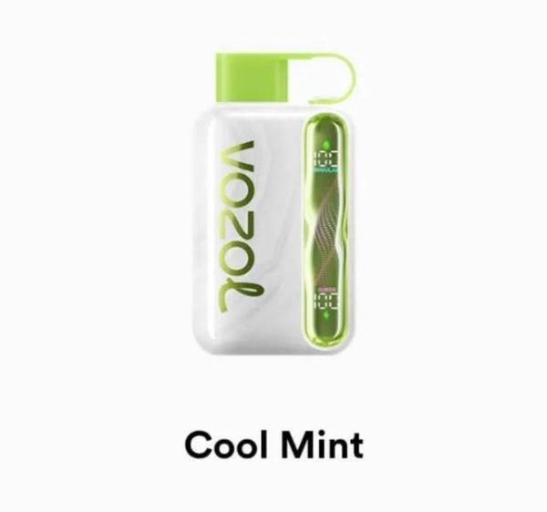 Cool Mint Cool Mint