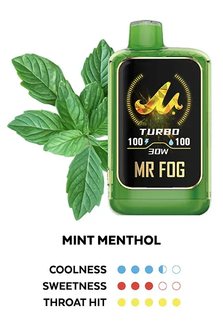 Mint Steezy Menthol Mint Steezy Menthol