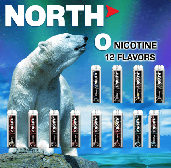North 5000 Puffs Disposable Vape 0%