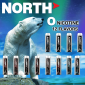 North 5000 Puffs Disposable Vape 0%