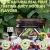 Tanya Hookah Flavors 250G
