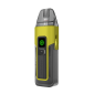 Wasp Yellow